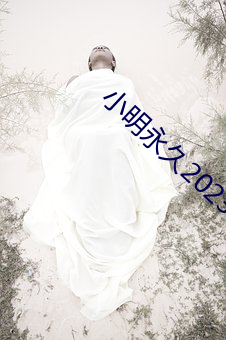 小明永久2023xxx免費看