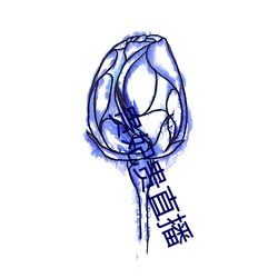 贵妃贵直播