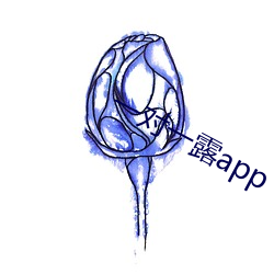 一对一露app