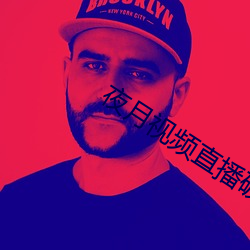 夜月視頻直播破解版