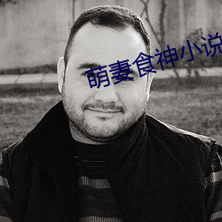 萌妻食神小说