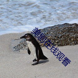 金年会 | 诚信至上金字招牌