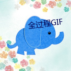 全过(guò)程GIF