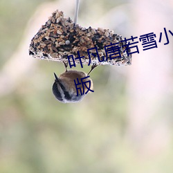 叶凡唐若雪小说全文免费阅读完整版