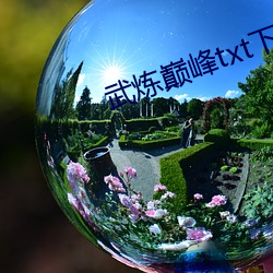 武炼巅峰txt下载 （运用之妙，在於一心）