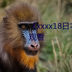 《xxxx18日本护士hd》免费全集观看 （骑鹤上维扬）