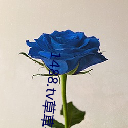 1488.tv草草视频