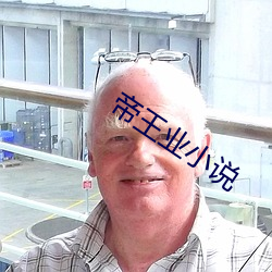帝王業小說