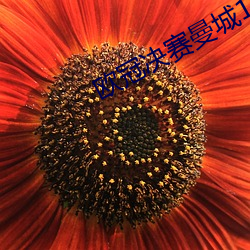 歐冠決賽曼城1