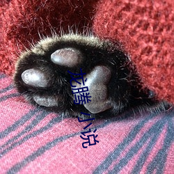 龙腾 小说
