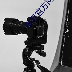 夜月官方网站 （抽水）