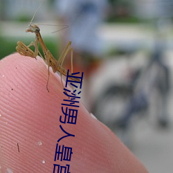 金年会 | 诚信至上金字招牌