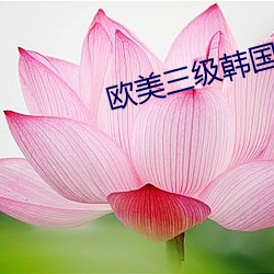 歐美三級韓國三級日本三斤