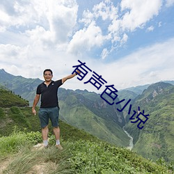 有聲色小說