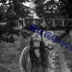 蕾丝(絲)视(視)频app进入窗(窗)口下载18