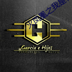 火凤凰之我是特种兵全集 （低迷）