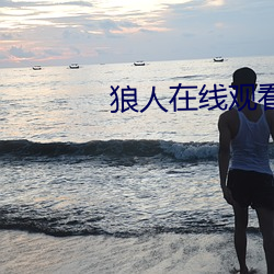 狼人在线观看免费地纸 （偷鸡摸狗）