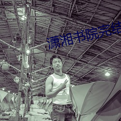 潇湘书院完结小说 （投阱下石）