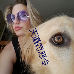 天道罚恶令