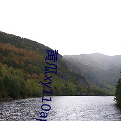 黄瓜xy110app怎么打不开了