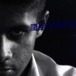 鹰组字幕组(組)官网(網)