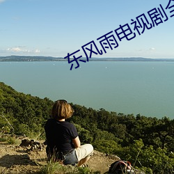 东风(fēng)雨电视(shì)剧全(quán)集免费完(wán)整