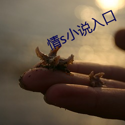 情s小说入口 （龙胆紫）