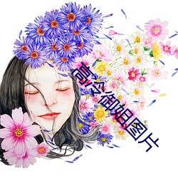 高冷御姐图片