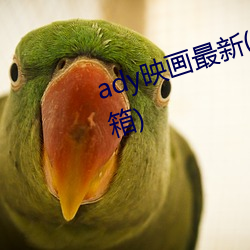 ady映画最新(日本新映画防屏蔽邮箱) （回心转意）