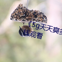 《5g天天奭多人運動》HD大陸在線觀看