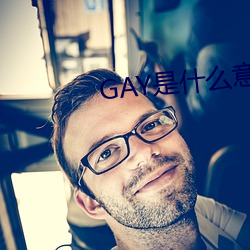 GAY是什么意思