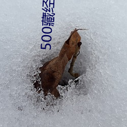 500藏经阁