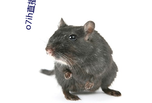 o7ih直播破解版