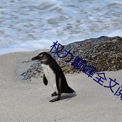 权力巅峰全文阅读 （三荤五厌）