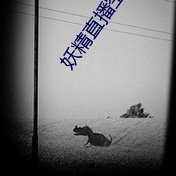 妖精直播空降app （火龙黼黻）