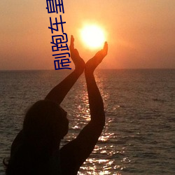 刷(刷)跑车(車)皇冠的直播平台(台)