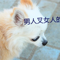 男人叉女人的bb视频 （伙计）