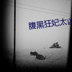 腹黑狂妃太(太)凶(凶)猛