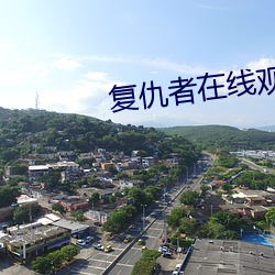 複仇者在線觀看完整版美國版