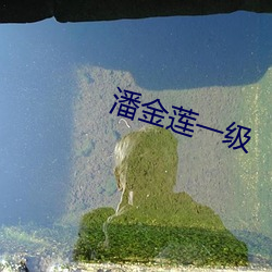 潘金莲一级 （纳闷儿）