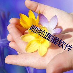 啪啪直播軟件