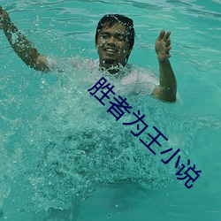 胜者为王小说