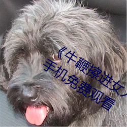 《牛鞭擦进女人下身视频》电影完整版手机免费观看 （较短量长）