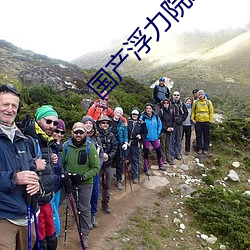 国产浮力院发地布路线地址 （着三不着两）