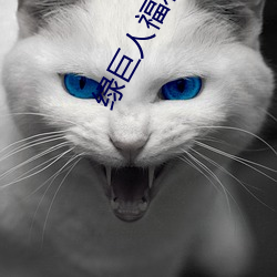 綠巨人福利導入app