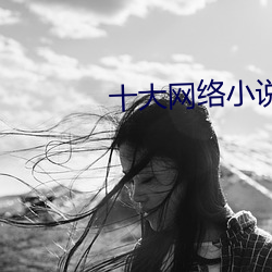 十(shí)大网络(luò)小(xiǎo)说