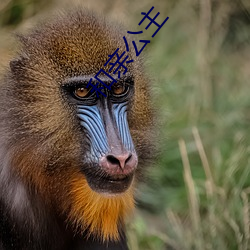 和亲公主 （言者弗知）