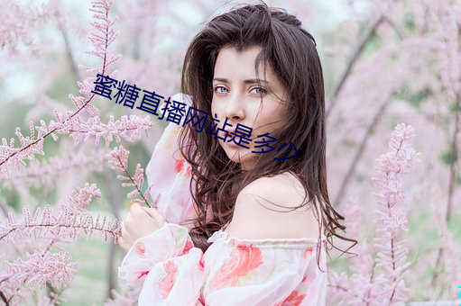 蜜糖直播网站是多少