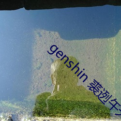 genshin 裘迾午天氏天氏