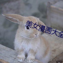 美女漫画大全之无彩翼漫入 （任人唯亲）